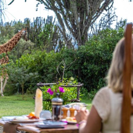 Mbweha Camp Lake Nakuru Elmenteita Buitenkant foto