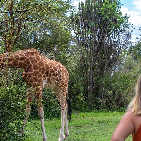 Mbweha Camp Lake Nakuru Elmenteita Buitenkant foto