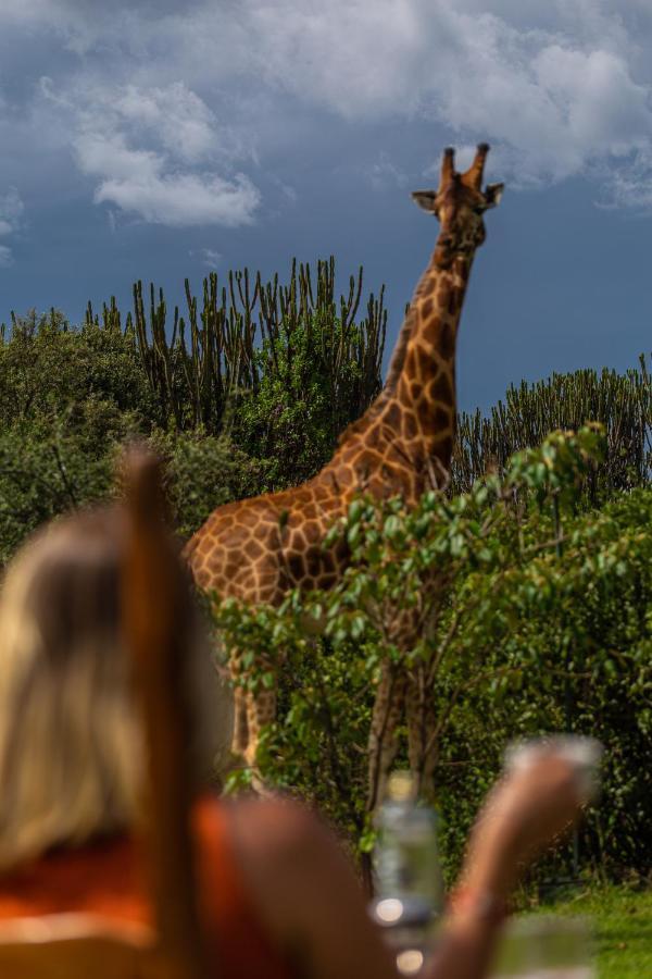 Mbweha Camp Lake Nakuru Elmenteita Buitenkant foto