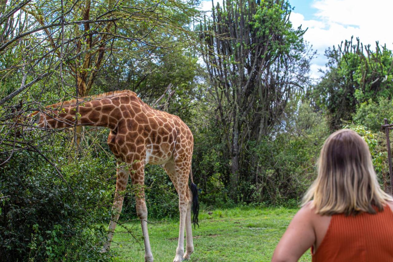 Mbweha Camp Lake Nakuru Elmenteita Buitenkant foto