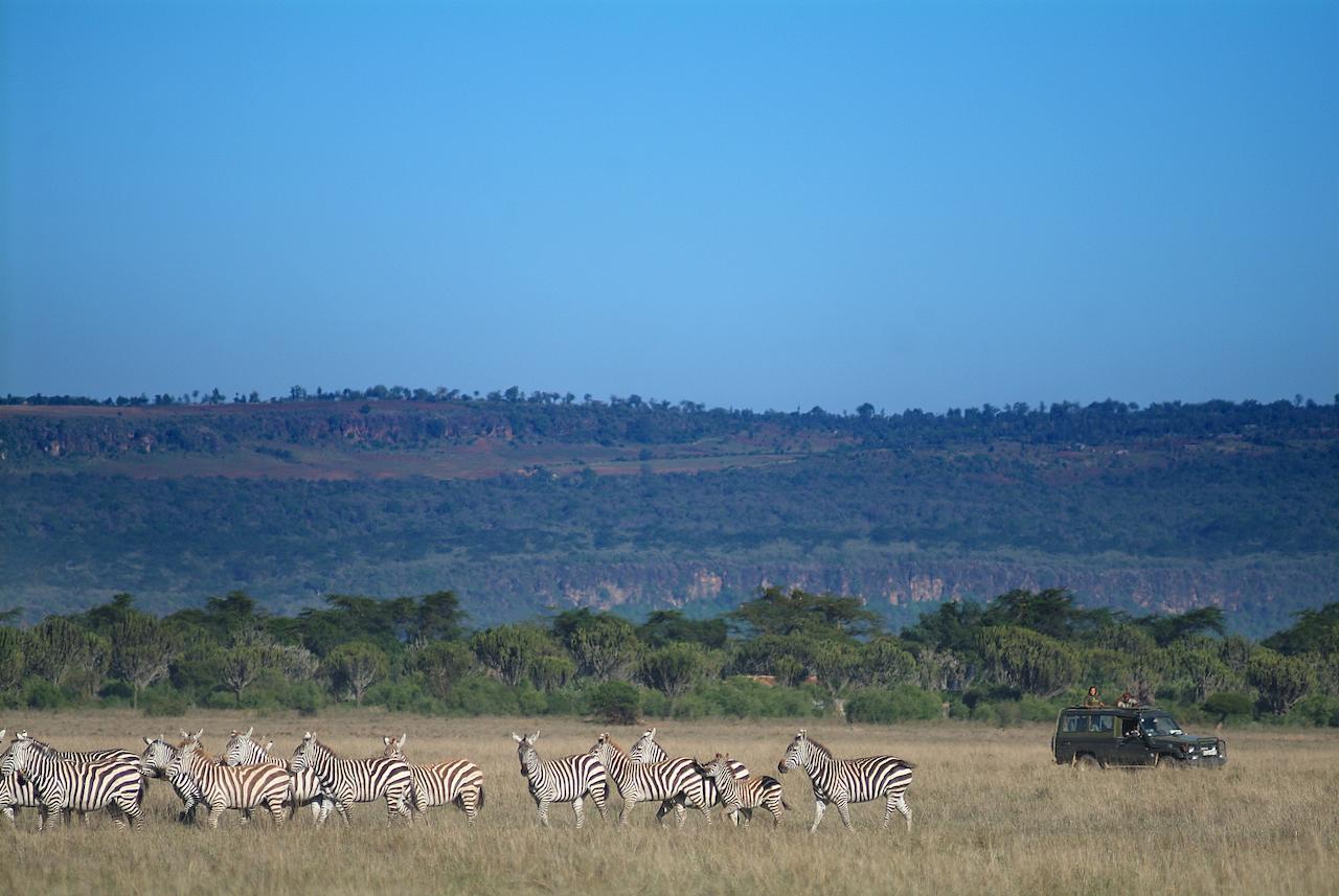 Mbweha Camp Lake Nakuru Elmenteita Buitenkant foto