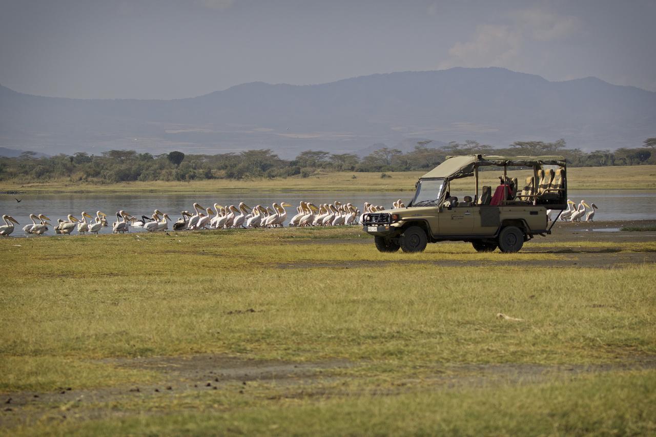 Mbweha Camp Lake Nakuru Elmenteita Buitenkant foto